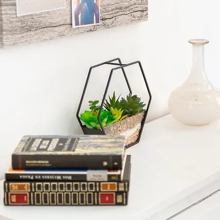 Trendy Homes Alfarerias